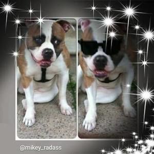 Meet your Posher, Renee